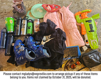 2025_Lost__Found_VIC_(1)