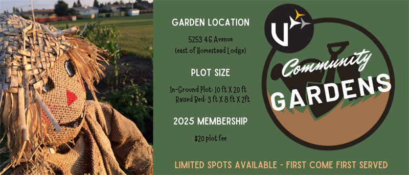 Community Gardens