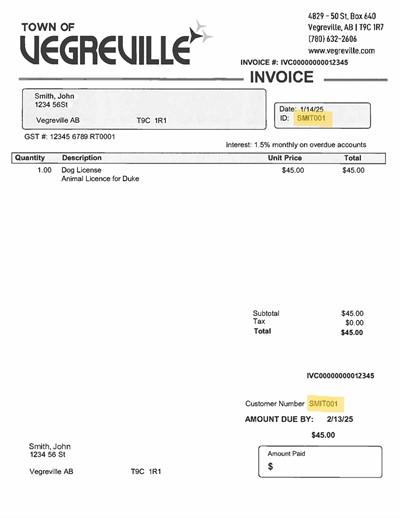 Dog_License_Invoice_Example