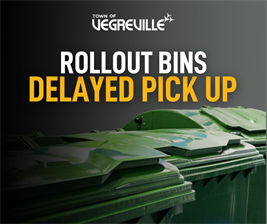 Roll_Out_Bin_-_Delayed_Pick_Up_(2)