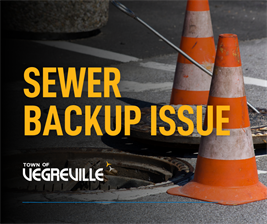 Sewer_backup-_May_31
